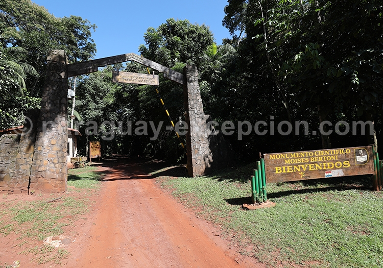 Bienvenue au musée Moises Bertoni, Paraguay Bienvenue au musée Moises Bertoni, Paraguay