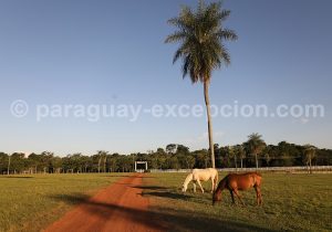 Entrée de l'estancia Tacuaty
