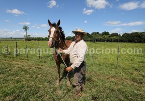 Gaucho Paraguay Gaucho Paraguay