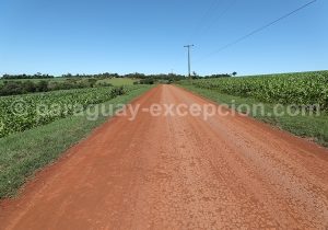 Chemin d'accès au parc Ñacunday