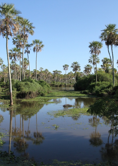 1 Parcs et réserves du Chaco paraguayen