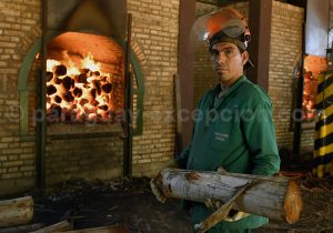 La production de bois au Paraguay et son utilisation La production de bois au Paraguay et son utilisation