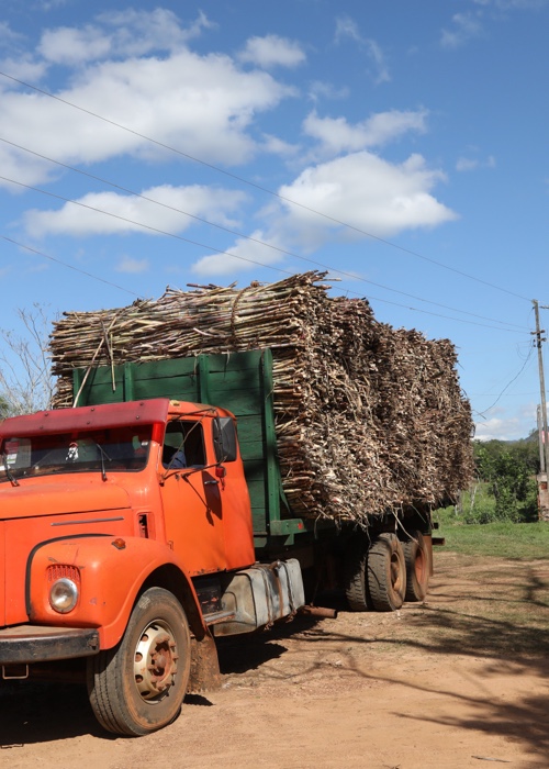 10 Les ressources forestières au Paraguay