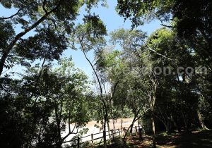 Parc Ñacunday, Paraná
