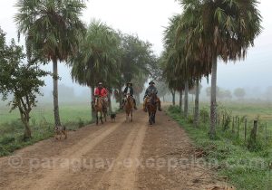 Journée à cheval dans l'estancia Esmeralda, Paraguay
