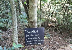 Balade dans la forêt près du Salto del Monday
