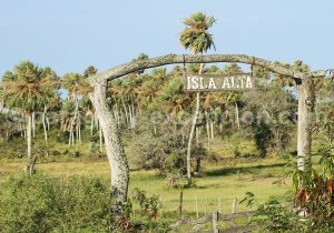 Isla Alta, Yvy