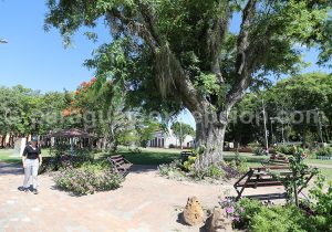 Jardins de Humaitá