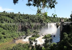 Chutes du Monday au milieu de la végétation