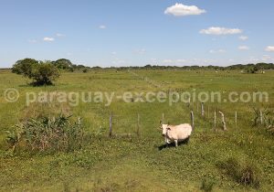 Alentours de Humaitá