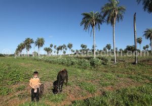 Yvy, région du Sud du Paraguay Yvy, région du Sud du Paraguay