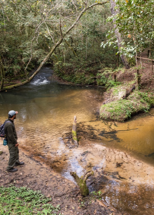 2 Parcs et réserves du Nord-Est Paraguayen