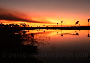 Estancia Tacuaty, coucher de soleil