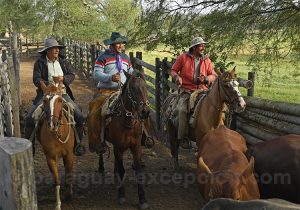 Travail des gauchos, estancia Esmeralda