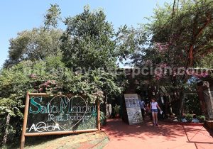Boutique des Saltos del Monday