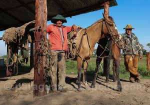 Travail des gauchos, estancia Esmeralda, Paraguay