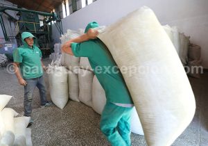 Visite de l'entrepôt, manufacture Selecta