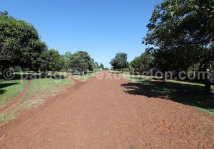 Région d'Yvy, sud du Paraguay