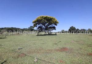 Yvy, sud du Paraguay