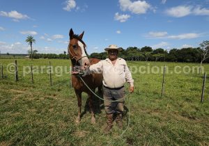 Gaucho, estancia Tacuaty, Paraguay
