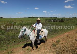 Gaucho, alentours de Humaitá