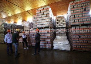 Visite de la manufacture Selecta