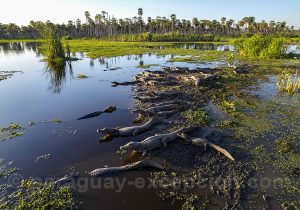 Voyage découverte touristique du Paraguay