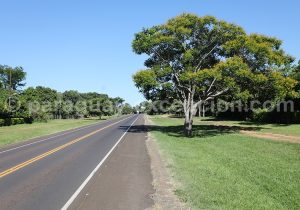Découverte de la région d'Yvy, Paraguay