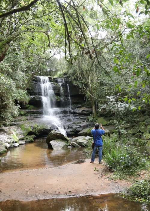 4 Parcs et réserves de la région Cordillera