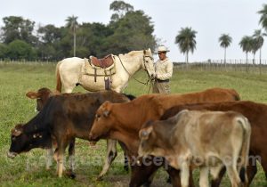 Estancia Tacuaty, Paraguay