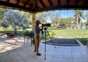Photographie animalière, estancia Esmeralda
