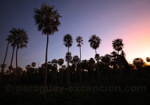 Coucher de soleil, estancia Esmeralda