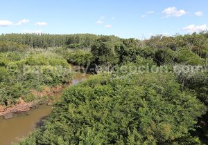 Alentours du parc Ñacunday