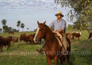 Gaucho, estancia Tacuaty