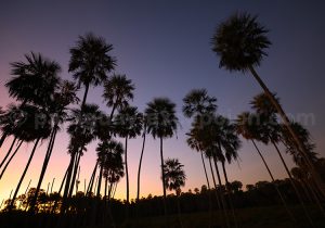 Coucher de soleil, estancia Esmeralda
