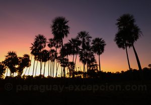 Coucher de soleil, estancia Esmeralda