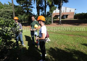 Visite de la plantation de maté Selecta