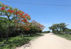 Entrée de Humaitá