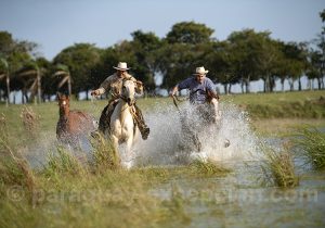 Estancia Tacuaty, Paraguay Estancia Tacuaty, Paraguay