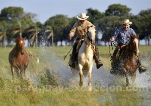 Travail des gauchos, Estancia Tacuaty