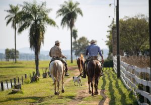 Tacuaty, Jacuty, Paraguay