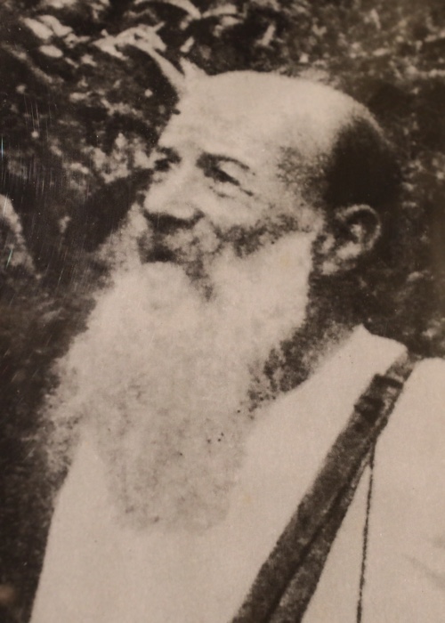Moisés Bertoni 2