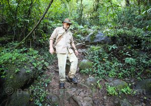 Parcs Bosque Protector Ñacunday et del Bosque Protector Yacuy