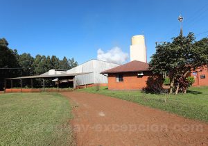 Plantation Selecta, Bella Vista, Yvy