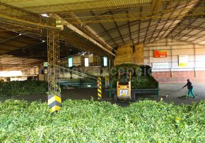 Manufacture familiale Selecta