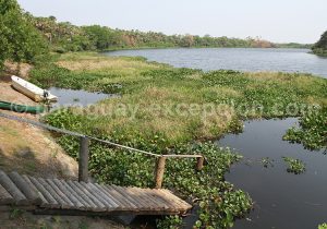 Réserve Pantanal Paraguayen, Tres Gigantes Réserve Pantanal Paraguayen, Tres Gigantes