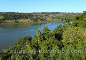 Río Paraná, fleuve sud-américain