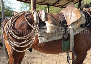 Selle et accessoires des chevaux en estancias, Paraguay