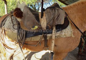 Selle et accessoires des chevaux en estancias, Paraguay