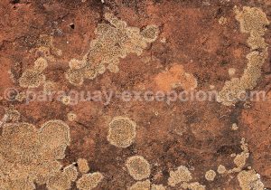 Matières et textures Matières et textures